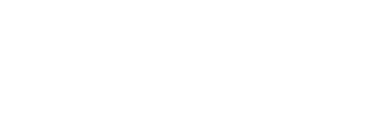Simon Feller Media Logo
