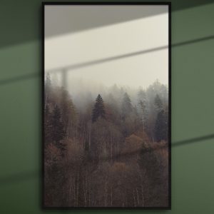Prints_from_the_Black_Forest_Trees_in_the_mist_product